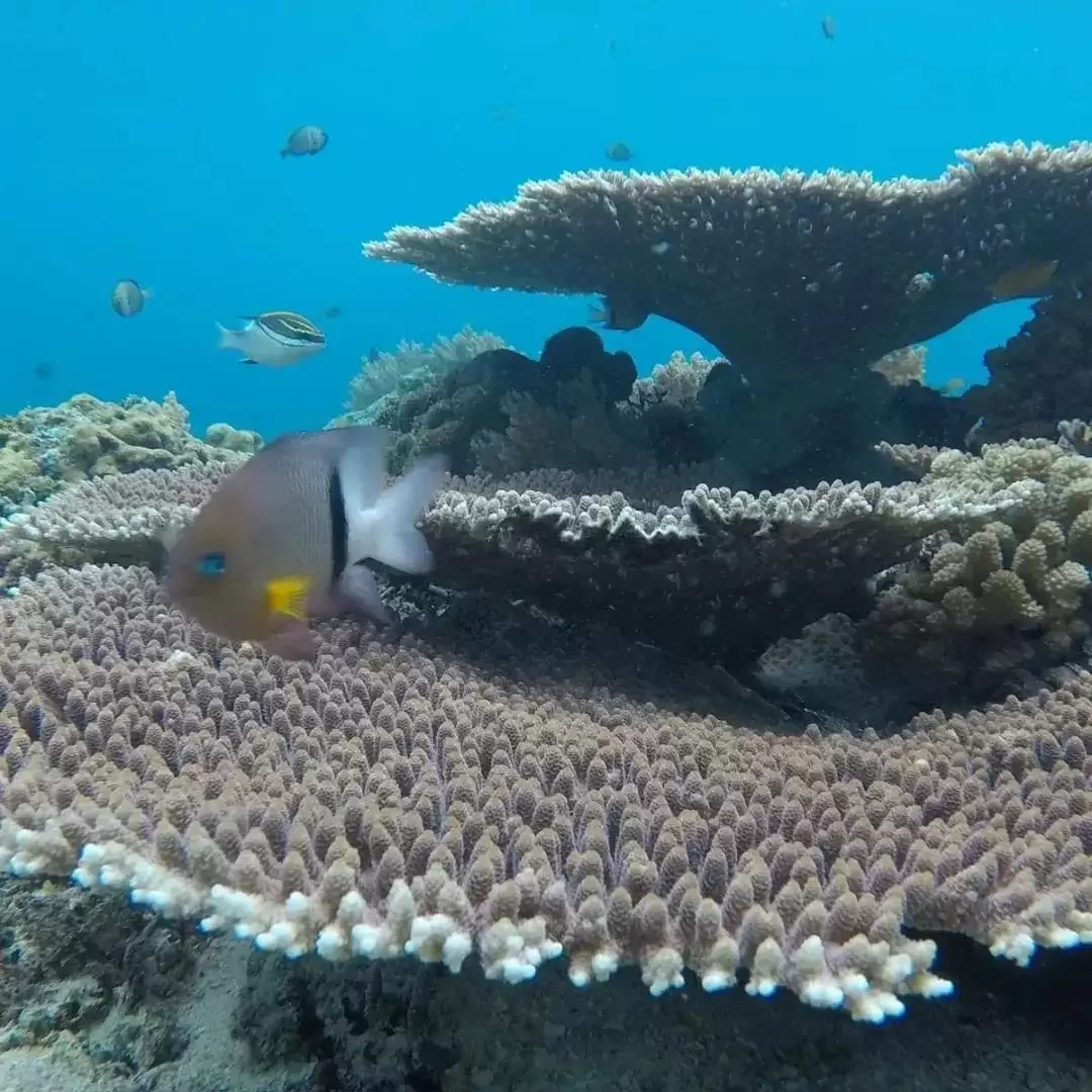 Package 3 : Gili Trawangan – Gili Meno – Gili Air – Gili Trawangan