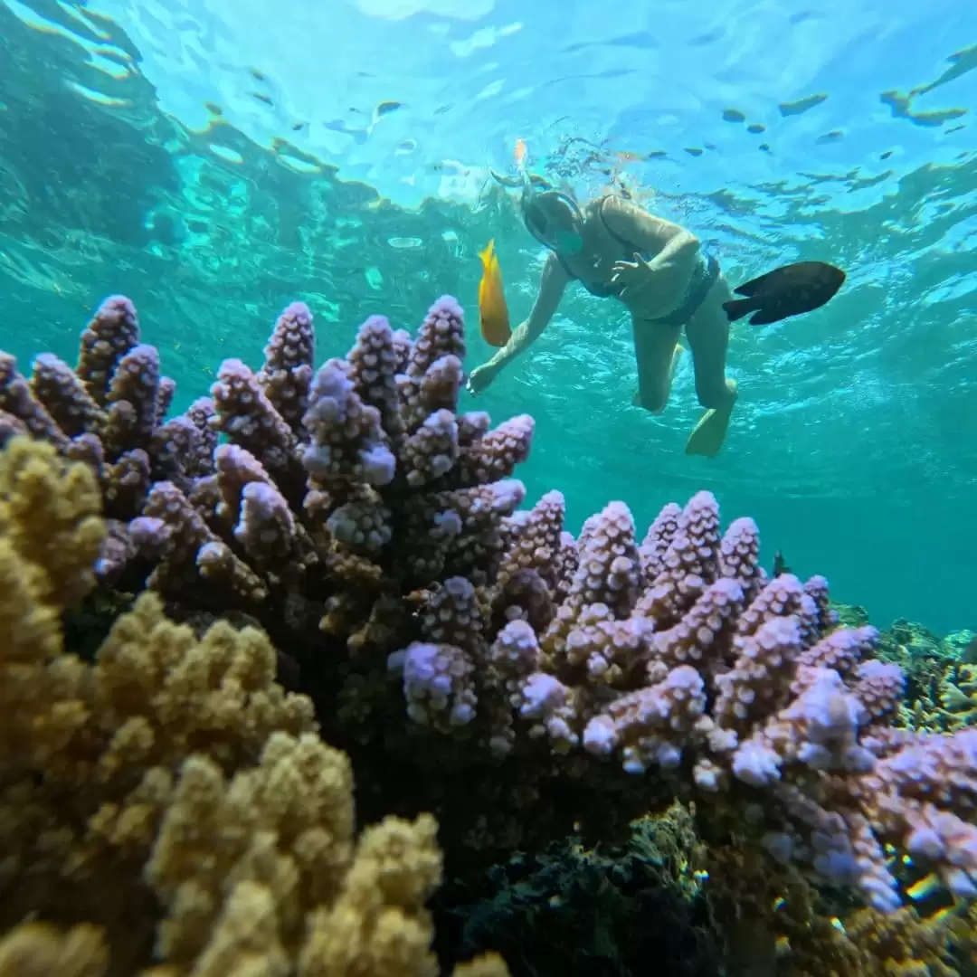 Package 4 (Group) : Gili Trawangan – Gili Meno – Gili Trawangan