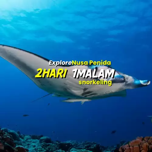 Paket Nusa Penida 2H1M ( Snorkeling )