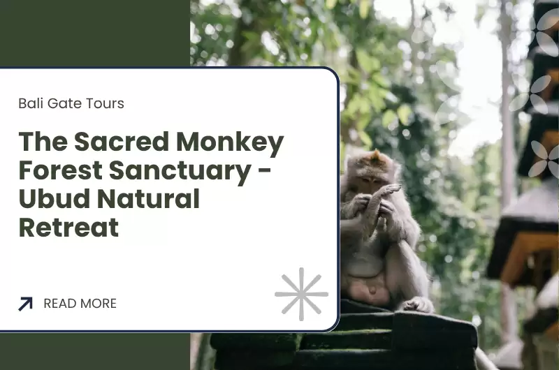 The Sacred Monkey Forest Sanctuary - Ubud Natural Retreat