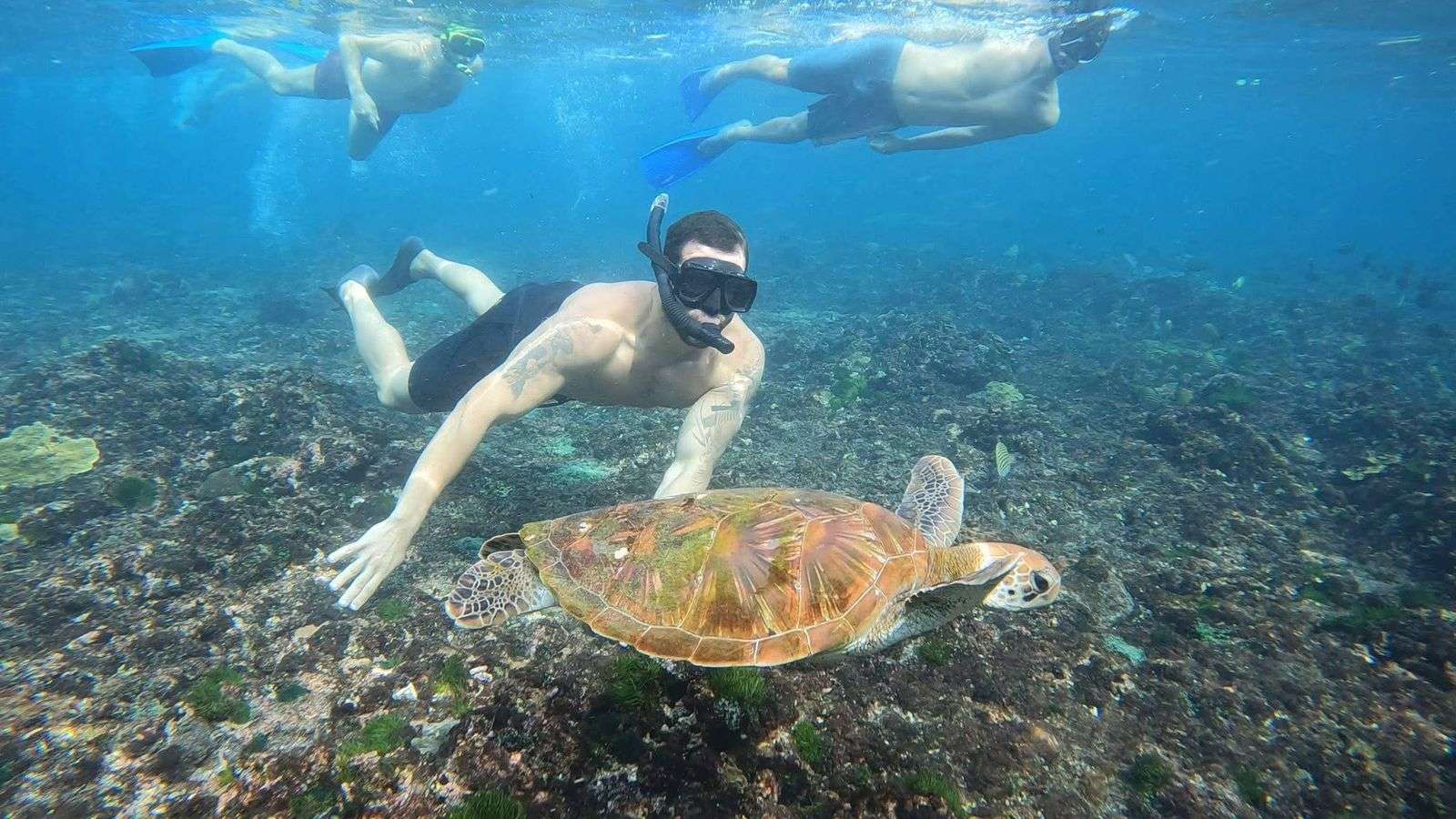 Snorkeling Day Trip and Island Tour from Bali to Lembongan and Penida (Package B)