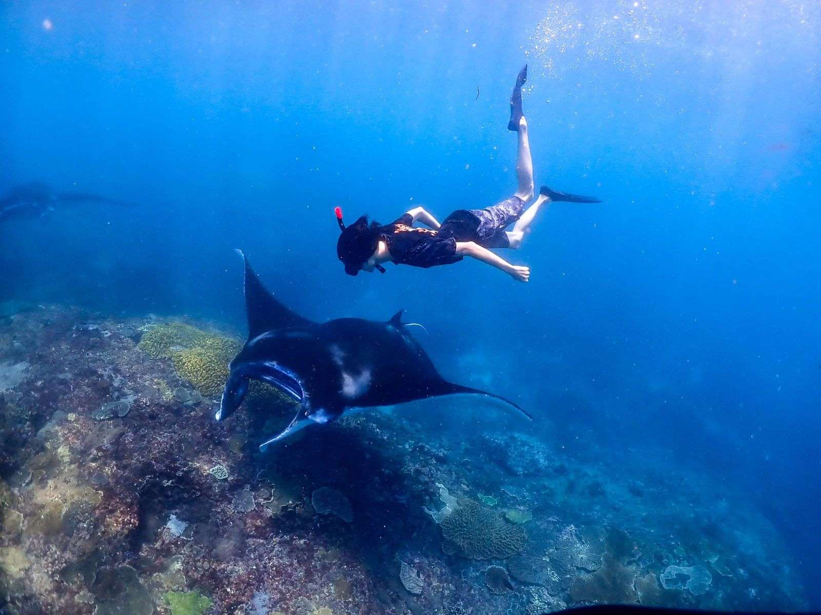 Snorkeling Day Trip and Island Tour from Bali to Lembongan and Penida (Package B)