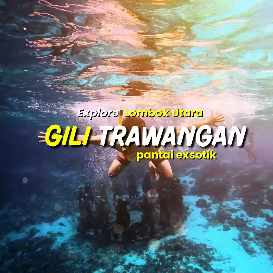 One Day Trip - Snorkeling Gili Trawangan, Meno, & Air