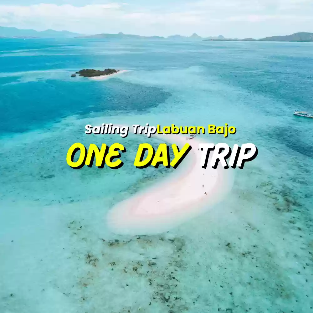 One Day Trip Pulau Komodo By Fastboat/Slowboat