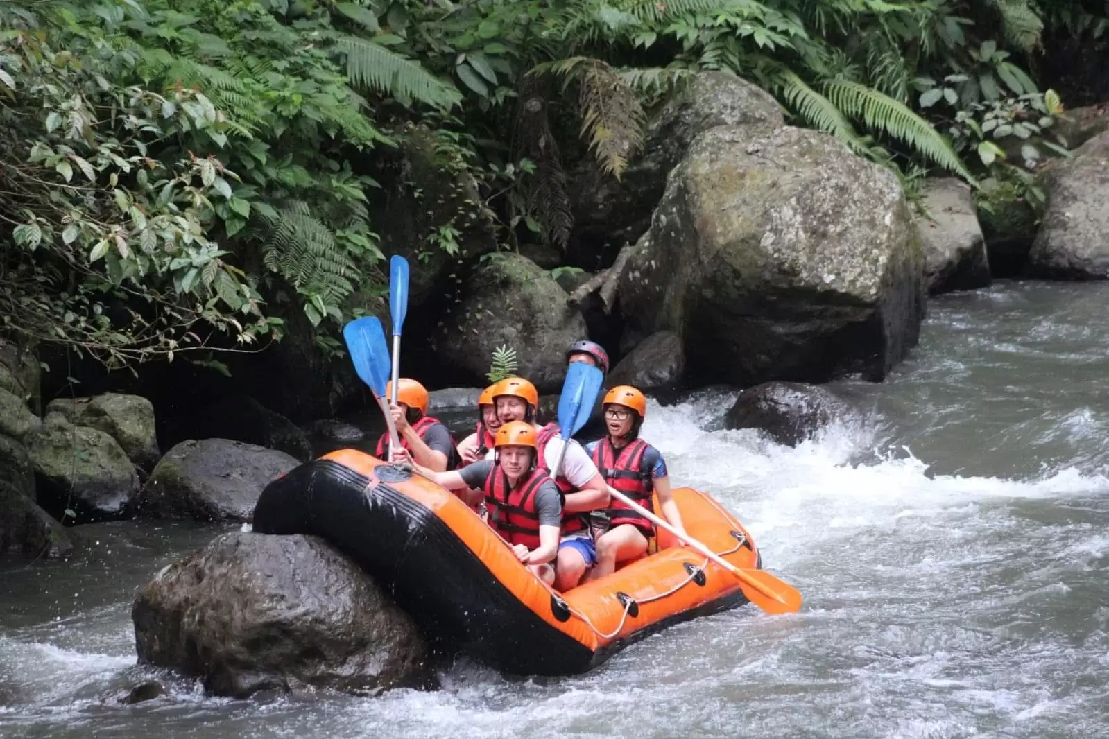 Ubud With Coffee Plantation Tour
