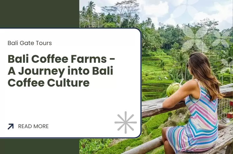 Bali Coffee Farms - A Journey into Bali Coffee Culture