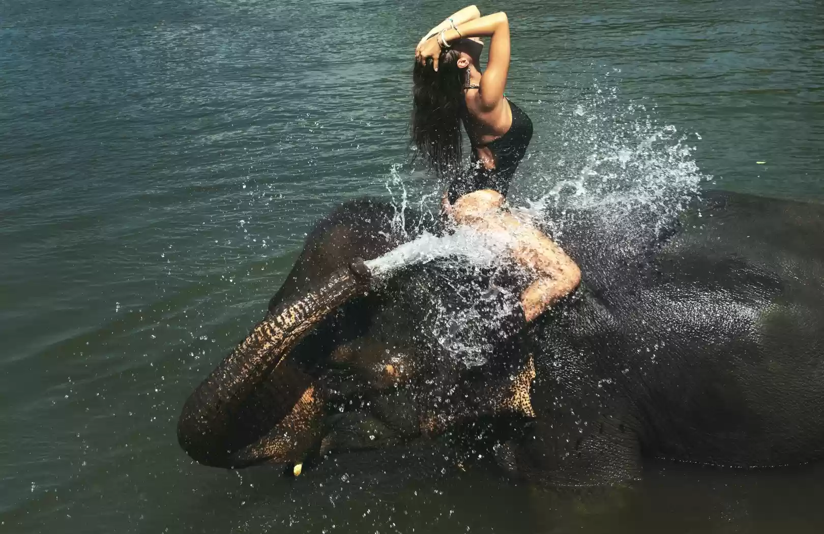 Taro Elephant Wash Experience with Private Transfers