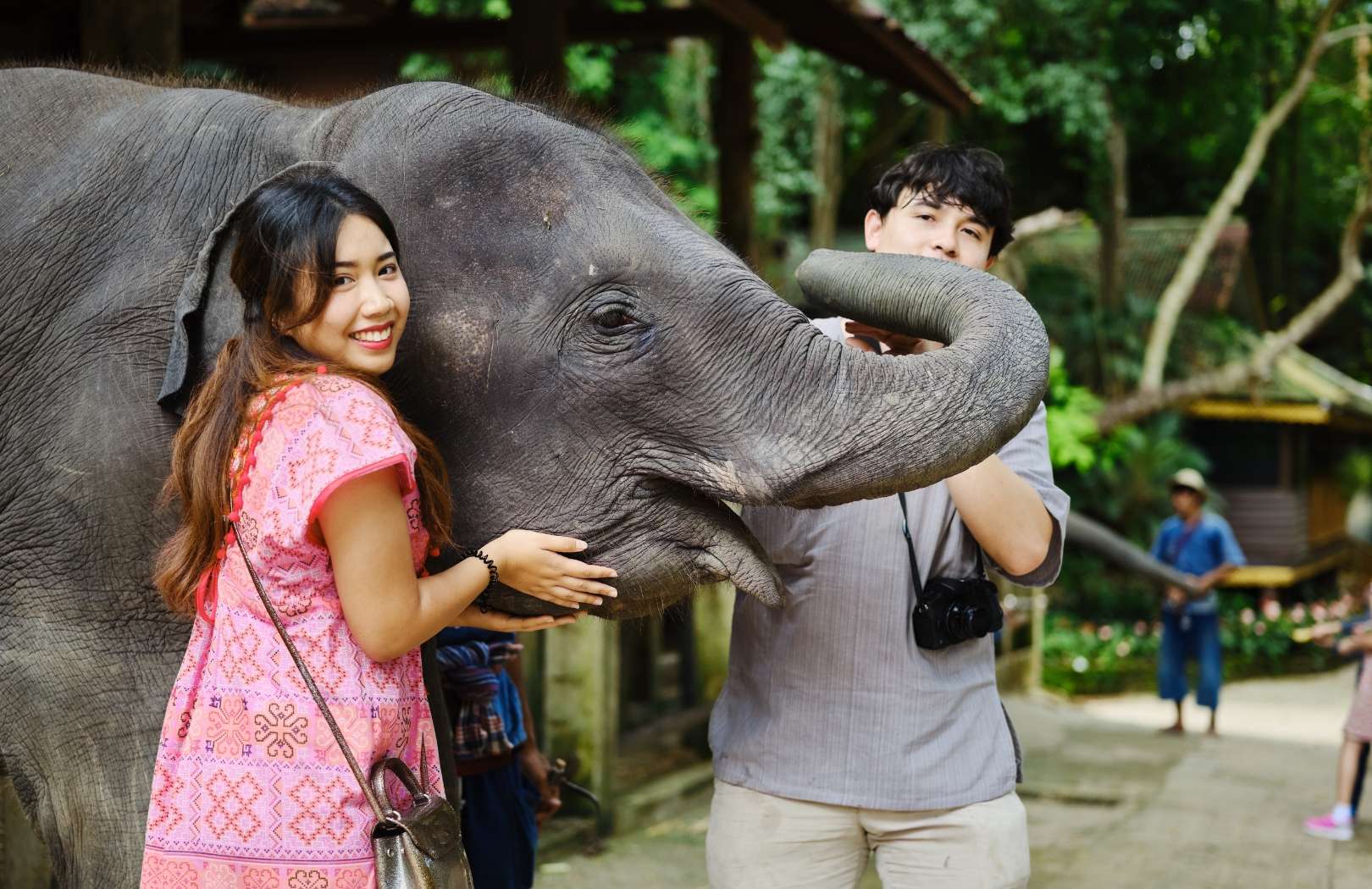Taro Elephant Wash Experience with Private Transfers
