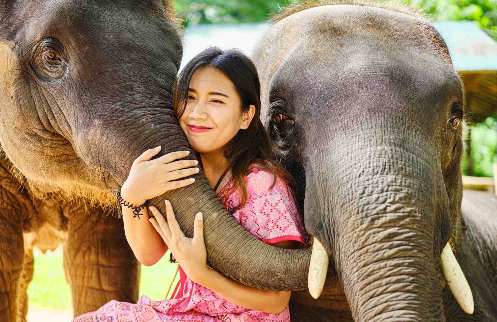 Taro Elephant Wash Experience with Private Transfers