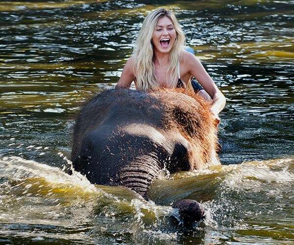 Taro Elephant Wash Experience with Private Transfers