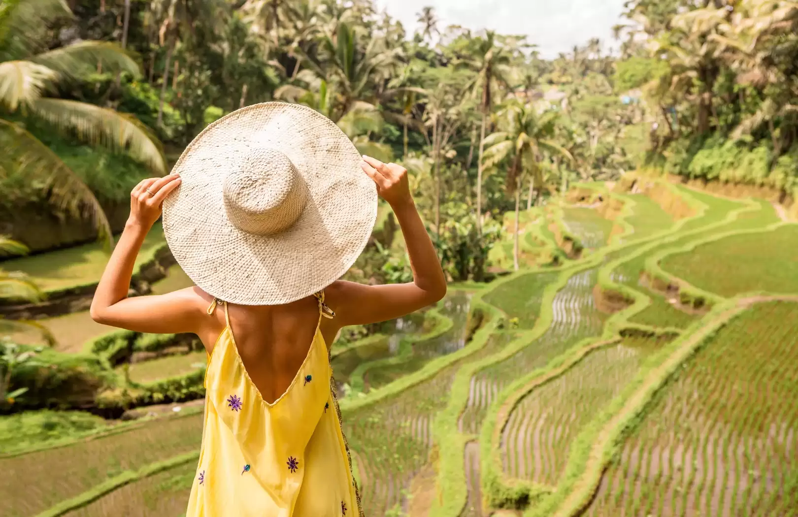 Wash the Elephant and Ubud Tour: A Heartwarming Jungle Experience