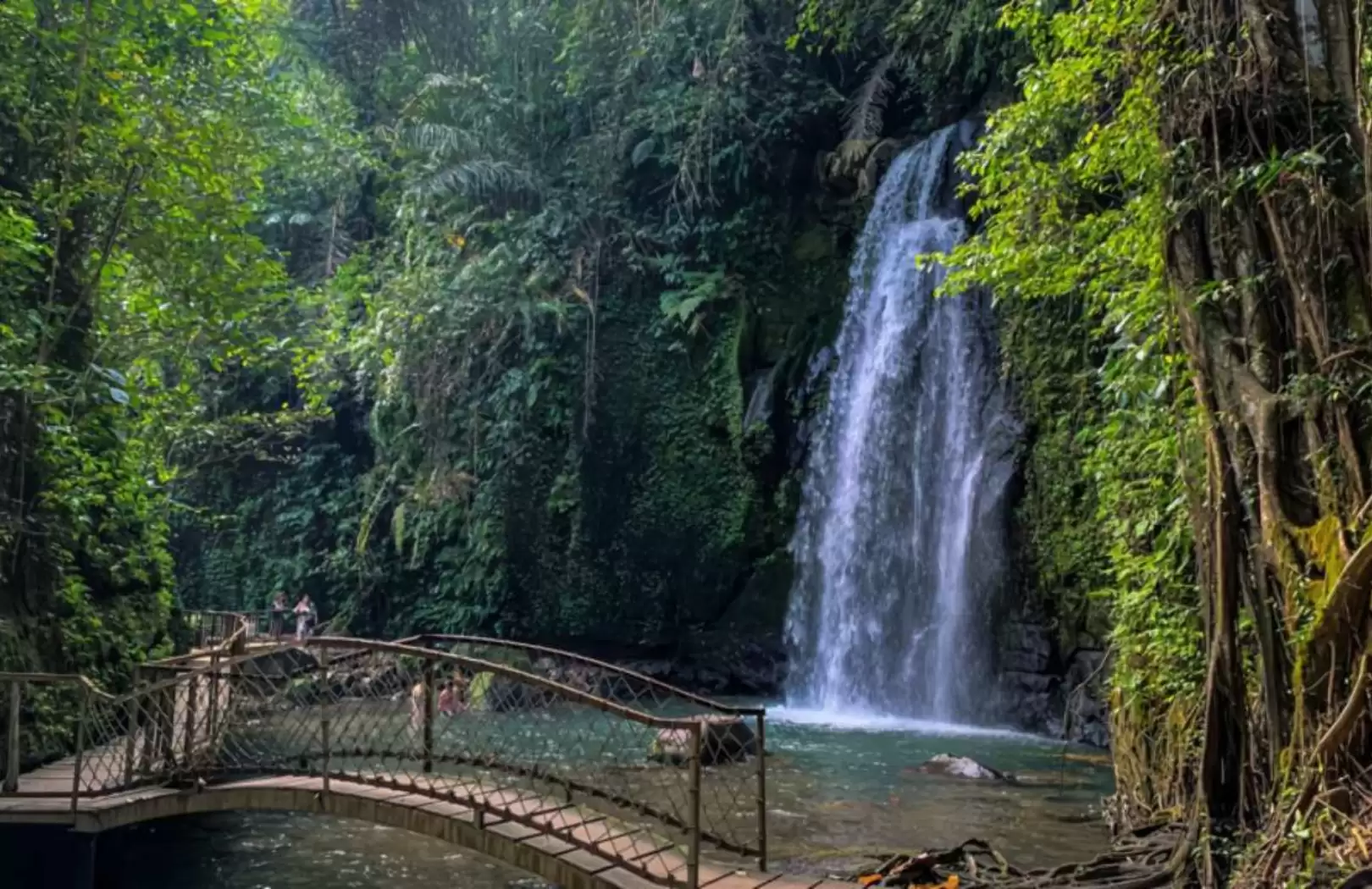 Wash the Elephant and Ubud Tour: A Heartwarming Jungle Experience