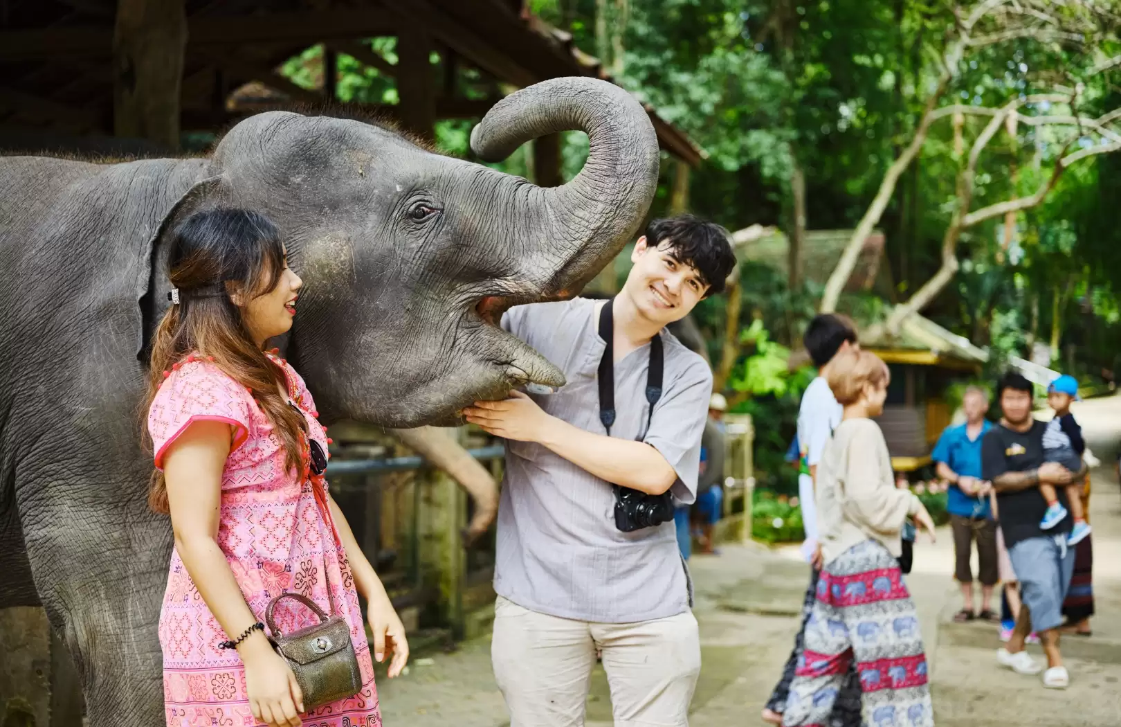 Wash the Elephant and Ubud Tour: A Heartwarming Jungle Experience