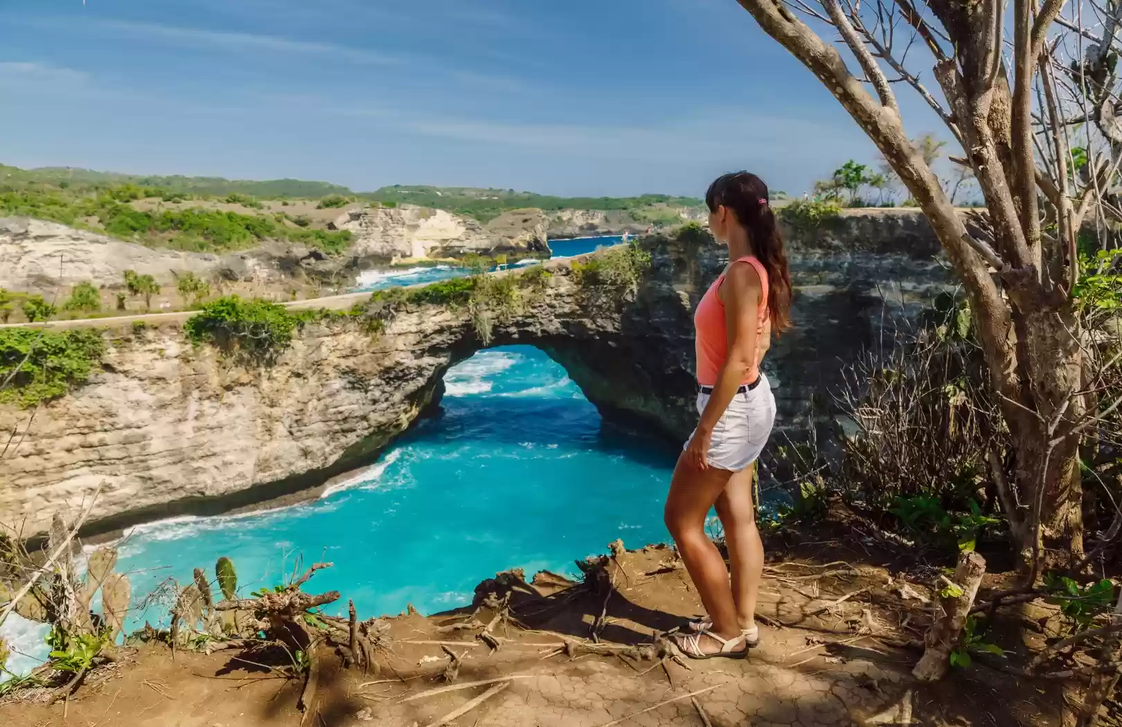 Private West Nusa Penida Day Tour