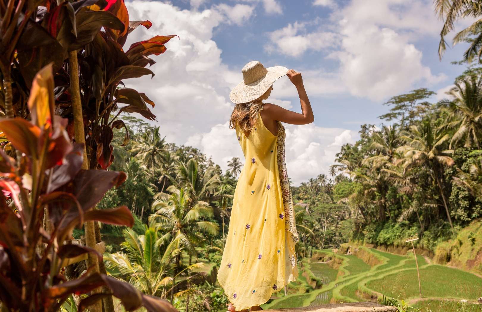 Sacred Forest to Sunset Temple: Ubud & Tanah Lot Full-Day Tour