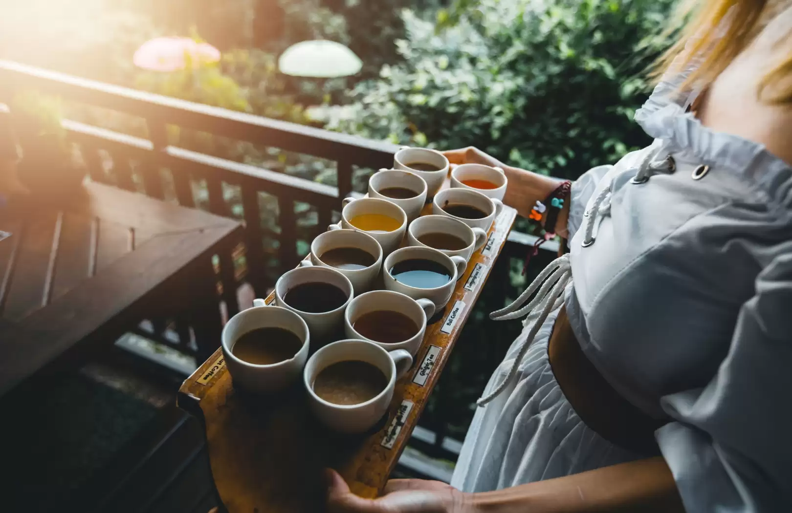 Ubud & Volcano Vista: Culture, Nature, and Holy Springs Day Tour