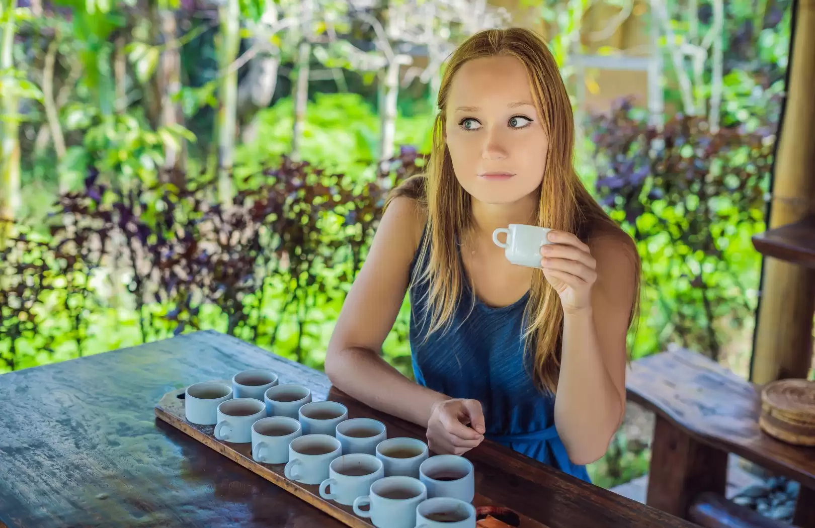 Complete Ubud Discovery: Waterfalls, Temples & Culture Tour