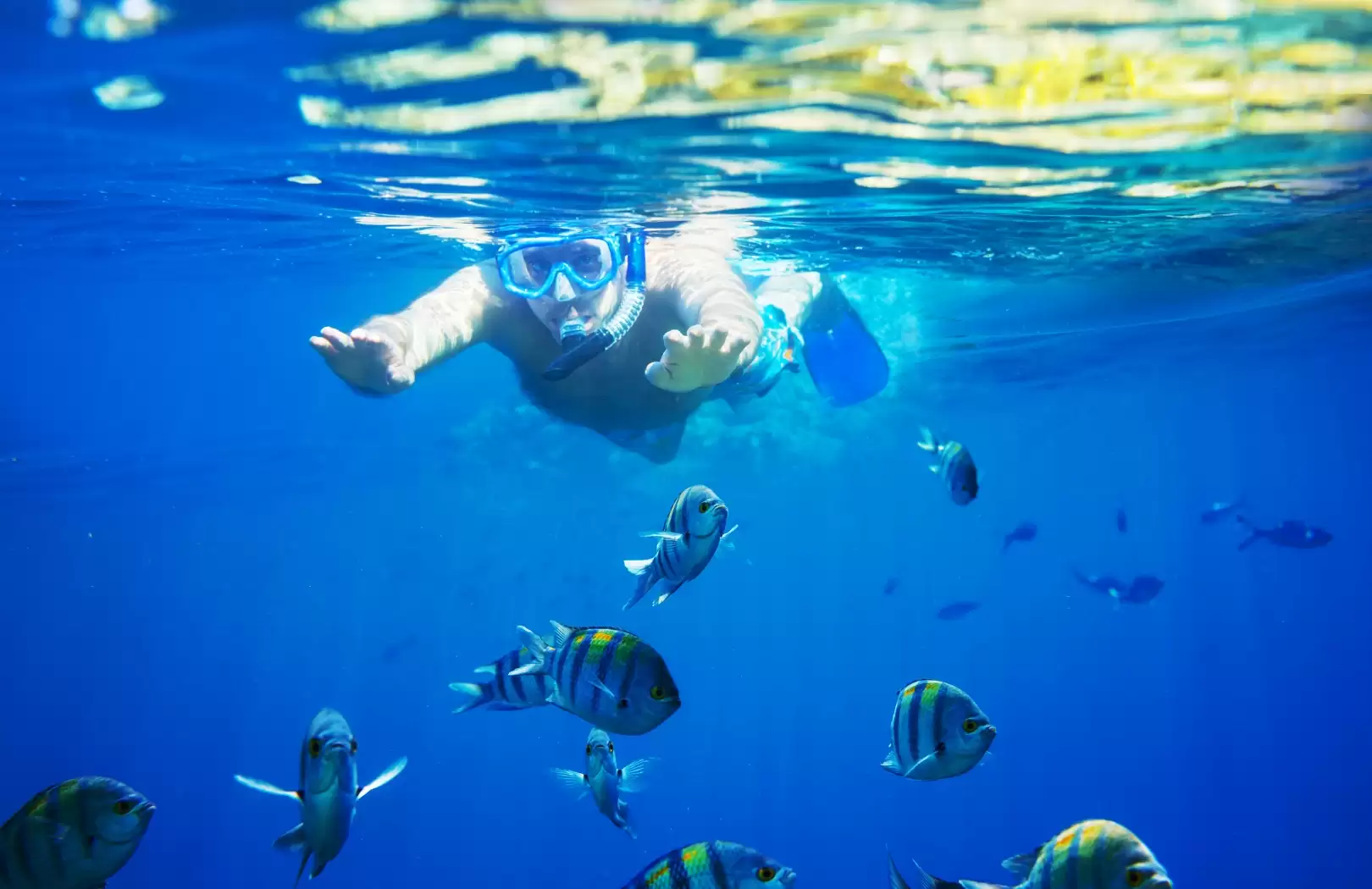 Blue Lagoon Snorkeling Escape: Coral Reefs & Clear Waters of East Bali