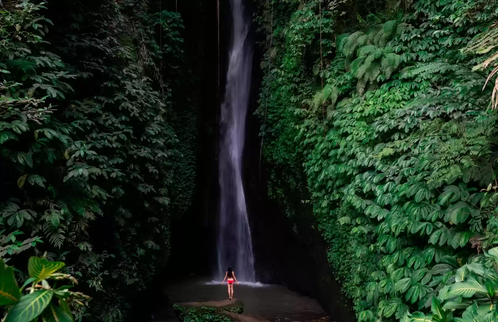 Northern Bali Serenity: Hidden Waterfall, UNESCO Rice Fields & Mountain Temple