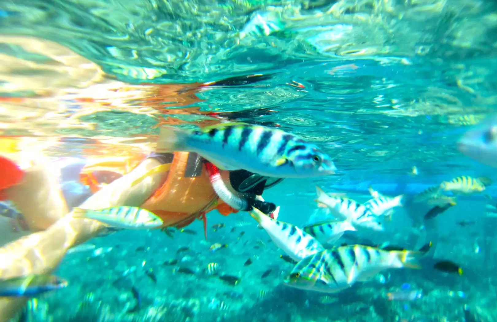 East Bali Explorer: Heaven’s Gate & Blue Lagoon Snorkeling Tour