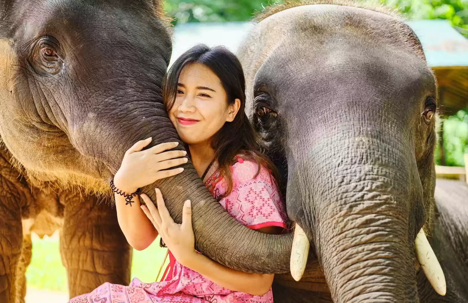 Bali Adventure Trio: Rafting, Elephants & Jungle Swing Escape