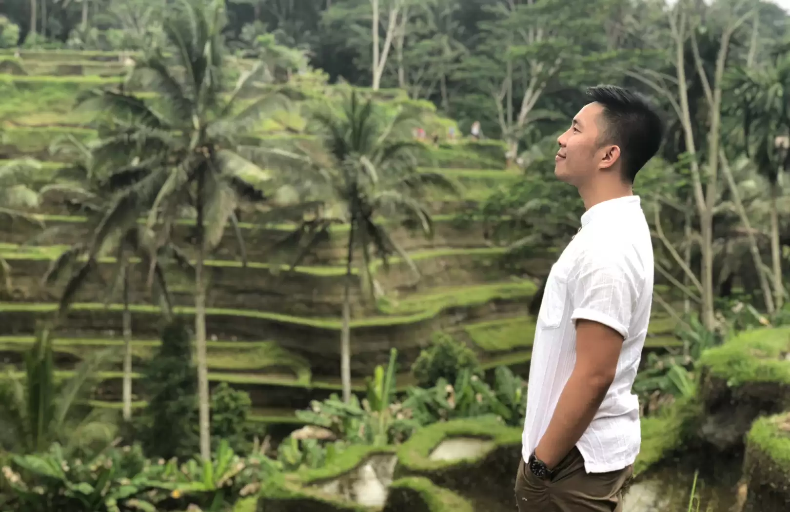 Ubud Highlights & Jungle Swing Experience