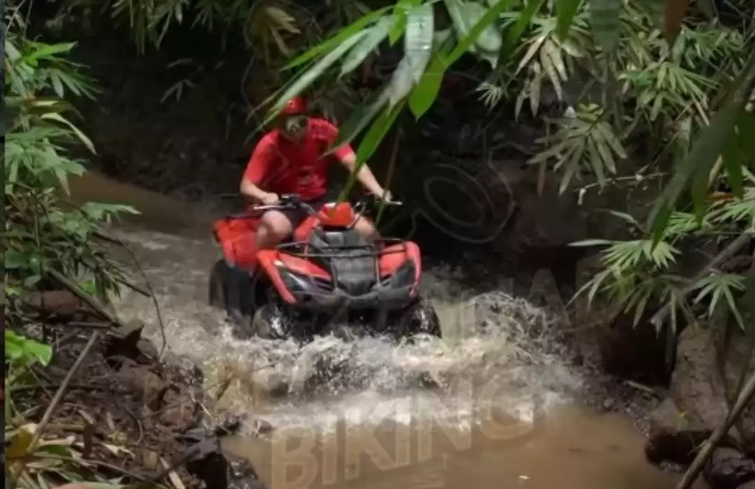 Family Quad Biking Tours in Ubud - Exploring Bali Natural Beauty Together