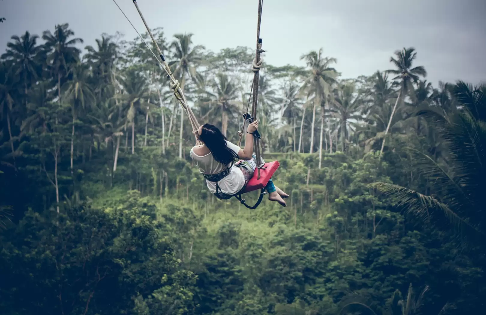 Bali Swing Tour