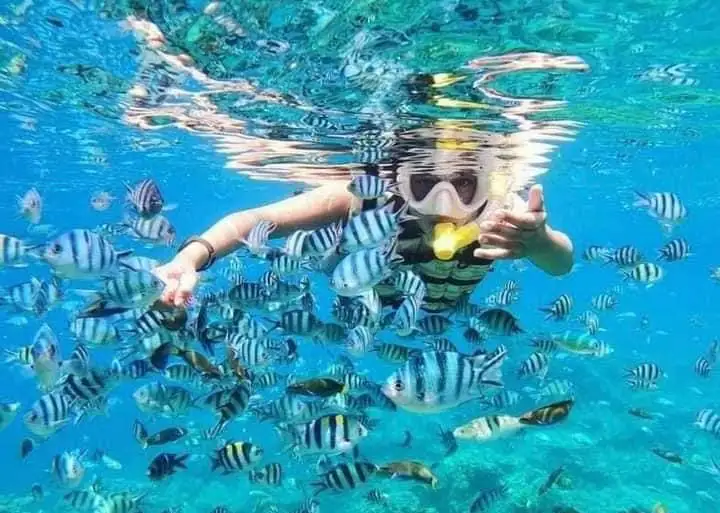 Bali Quad Bike and Snorkeling Blue Lagoon Tour