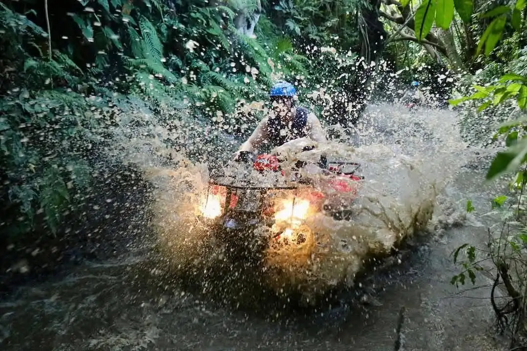 Gorilla Cave Adventure Image