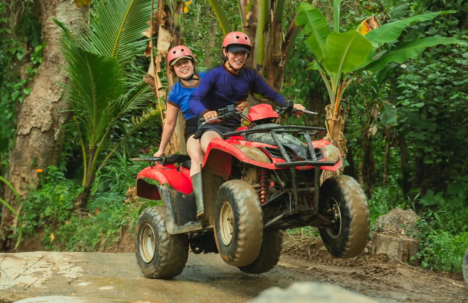 Gorilla Cave Adventure Image