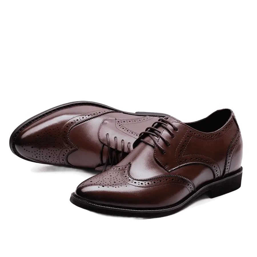 Casual & Formal Leather Shoes