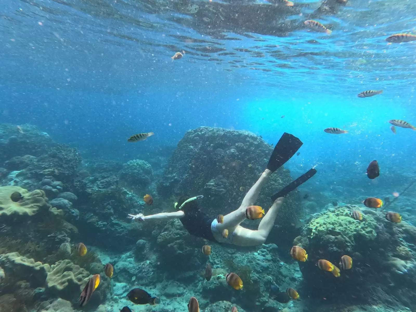 The Best Snorkeling Spots in Nusa Penida – What You Need to Know