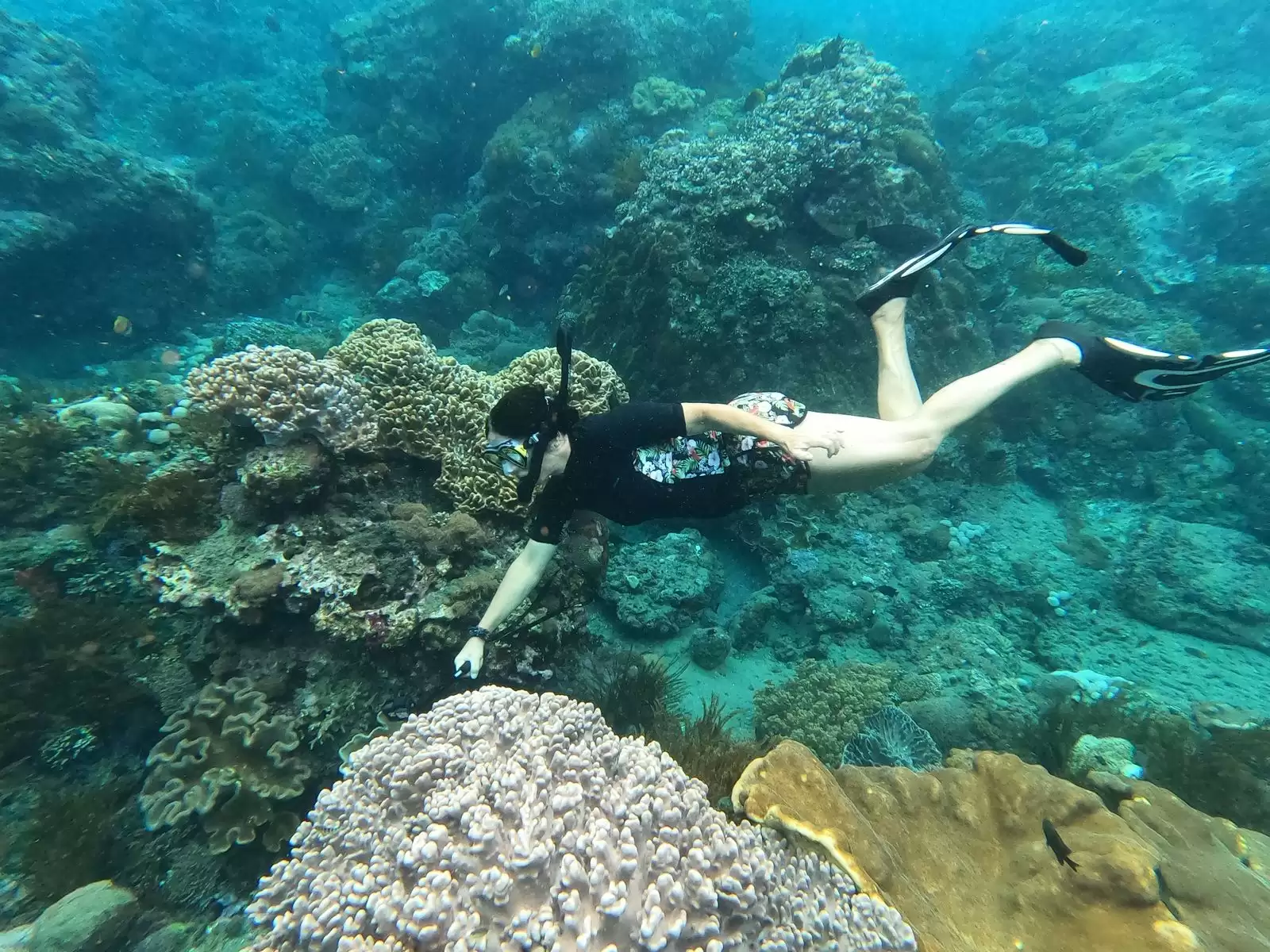 Private Snorkeling – Manta Bay
