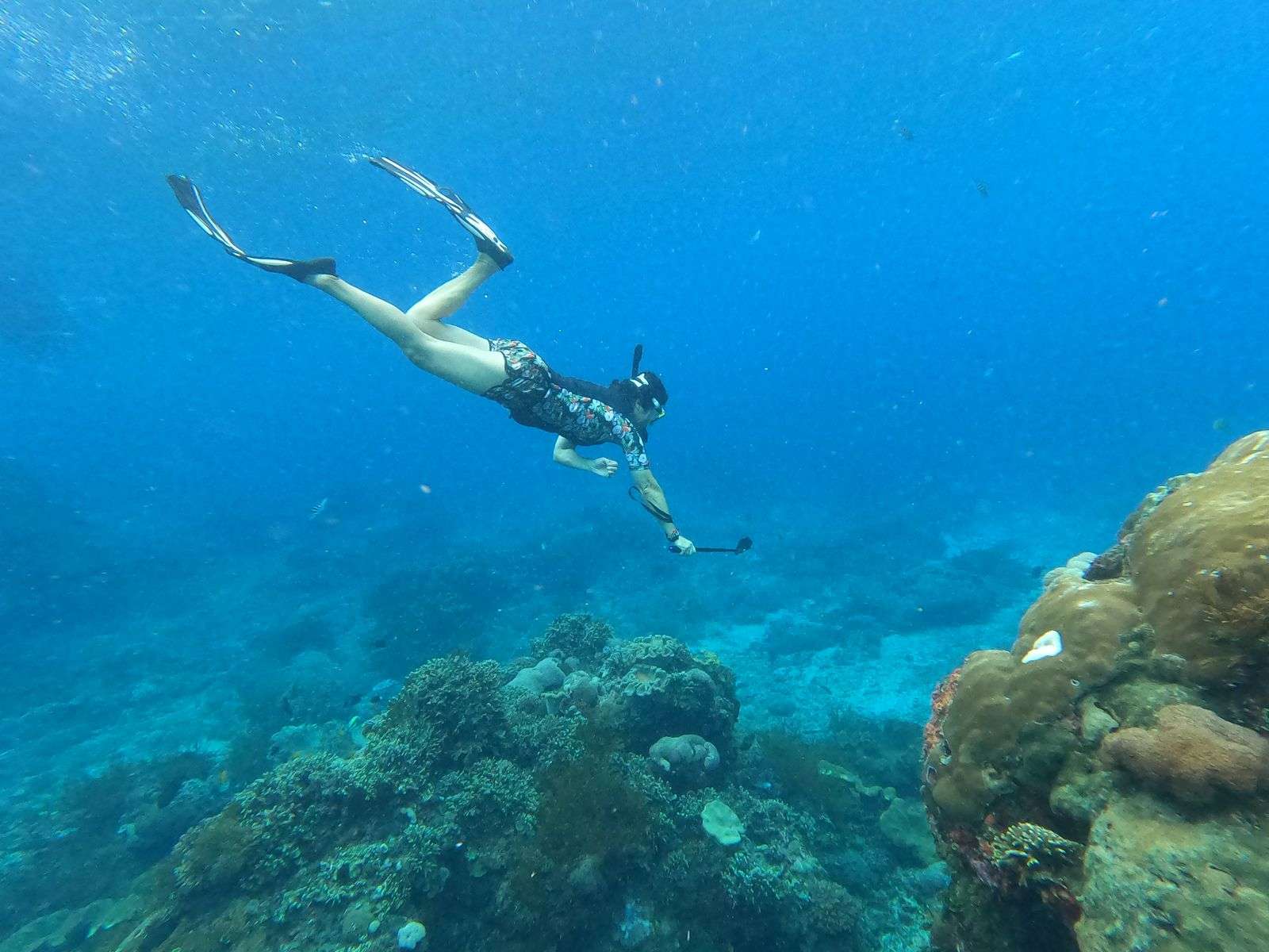 Private Snorkeling – Manta Bay