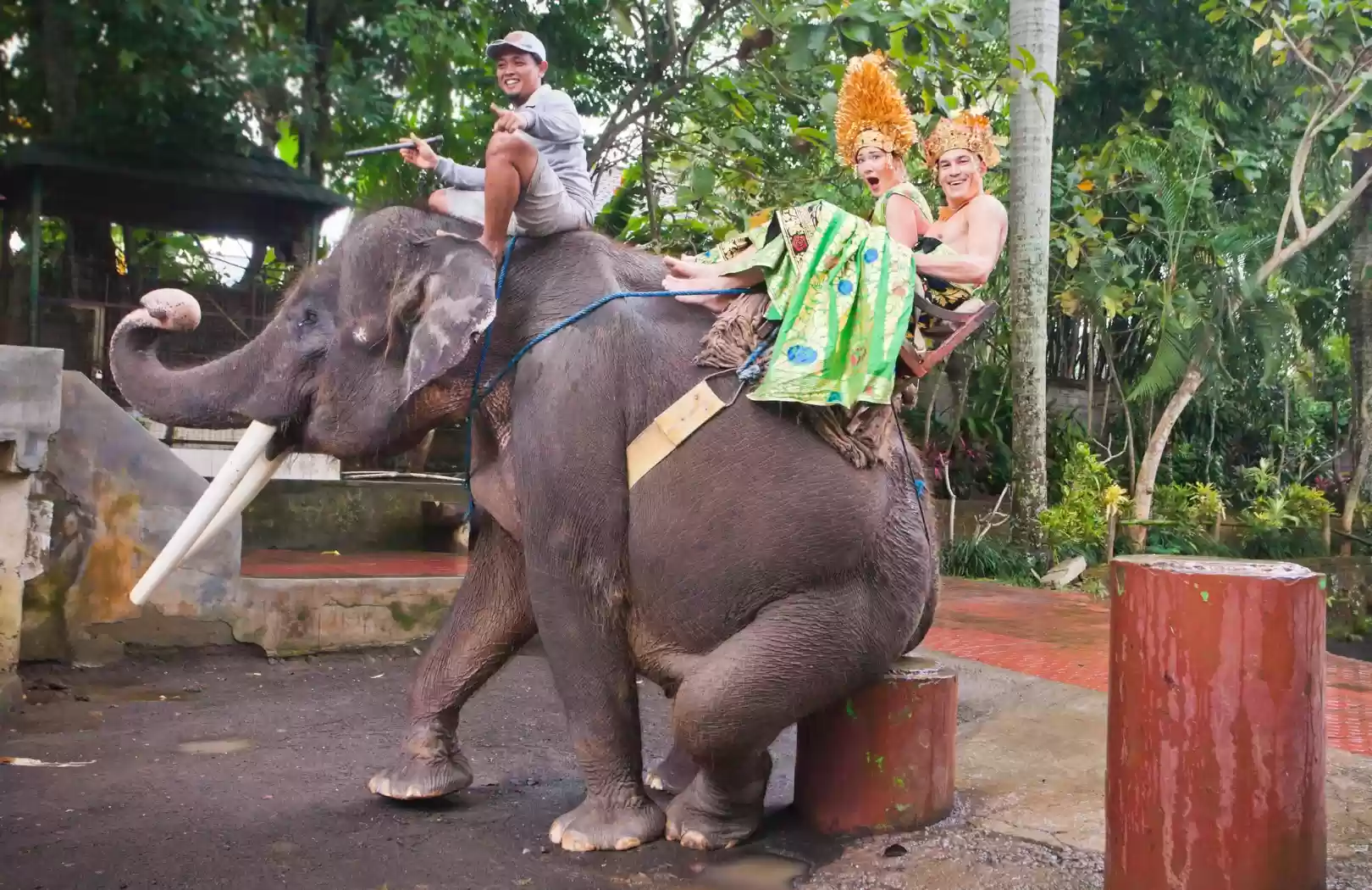 Bali Elephant Ride + Bali ATV Ride