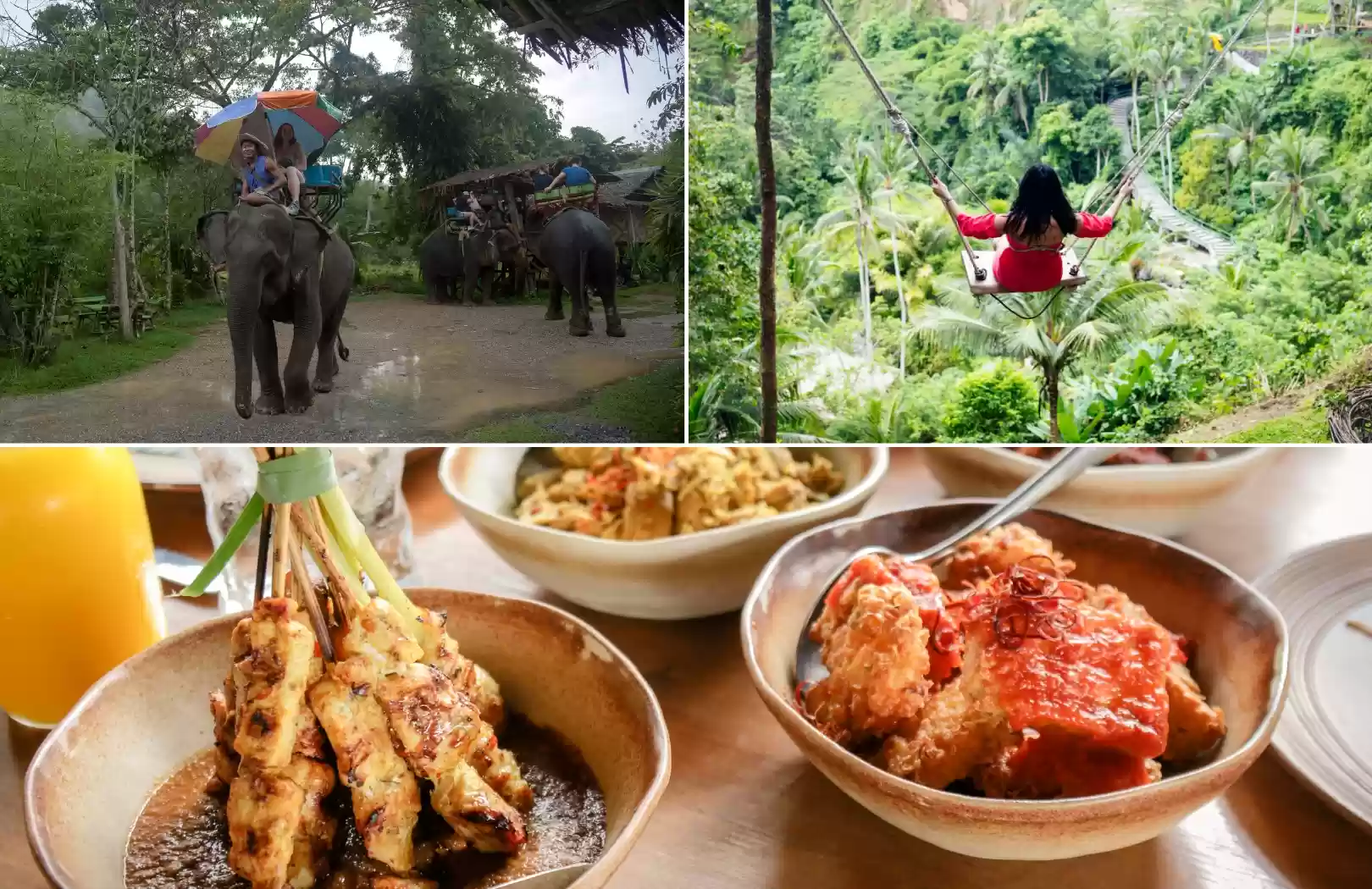 Bali Elephant Ride + Bali Swing + Bali Cooking Class