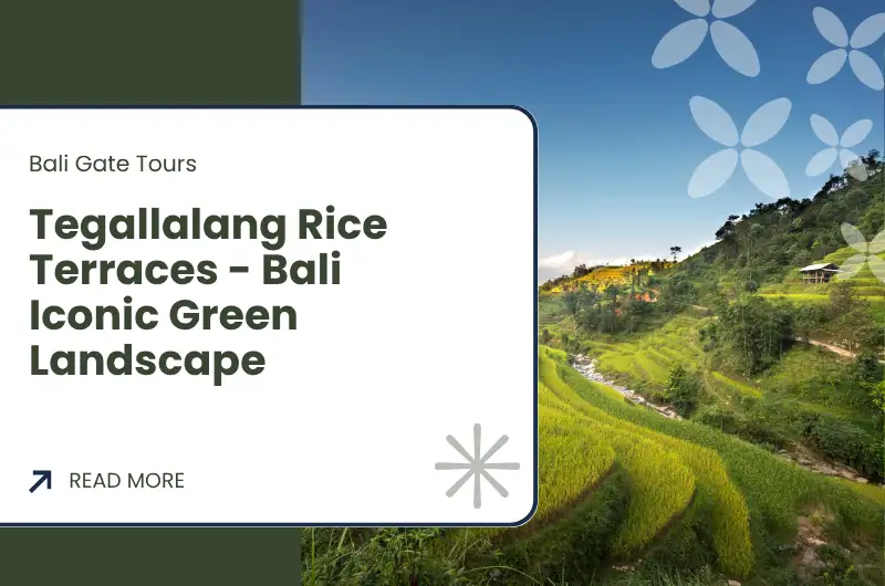 Tegallalang Rice Terraces - Bali Iconic Green Landscape