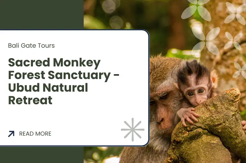 Sacred Monkey Forest Sanctuary - Ubud Natural Retreat