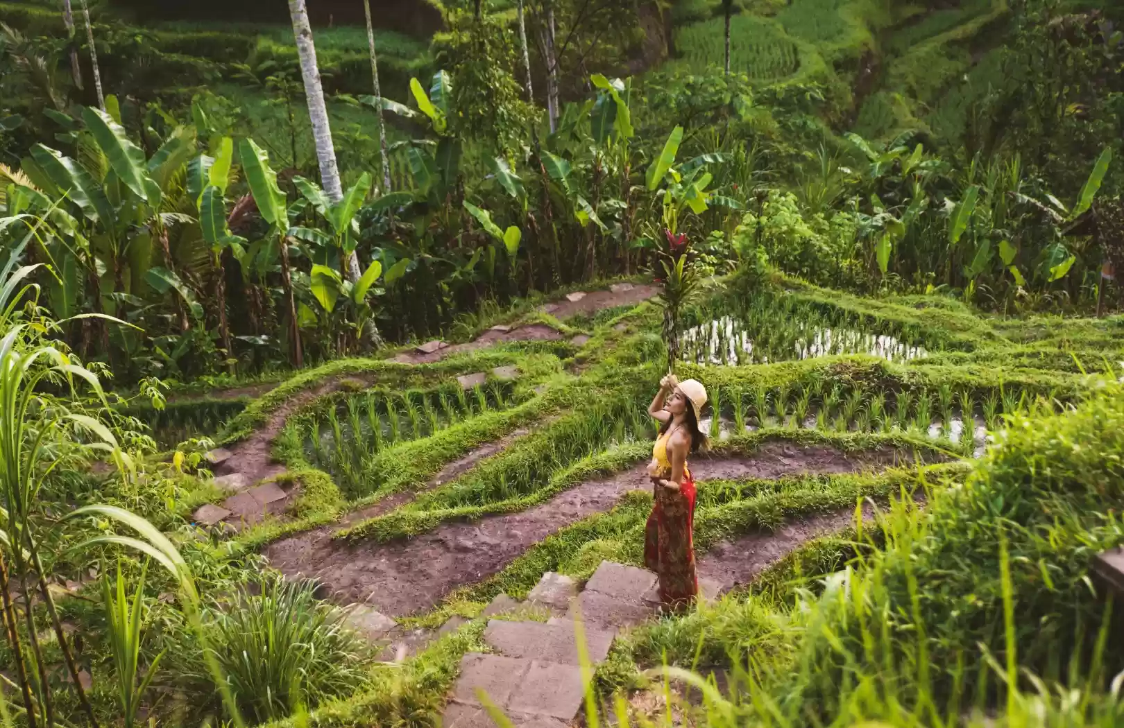 Bali Benoa Shore Excursion from Benoa Port – Explore Best Attractions