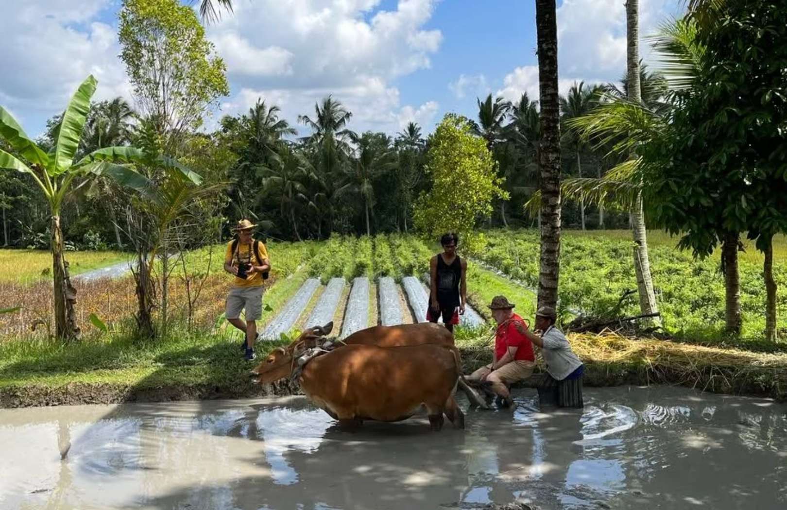 Bali Full-Day Temple and Cultural Village Tour