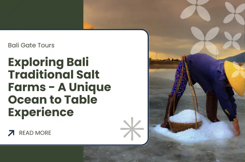 Exploring Bali Traditional Salt Farms - A Unique Ocean to Table Experience
