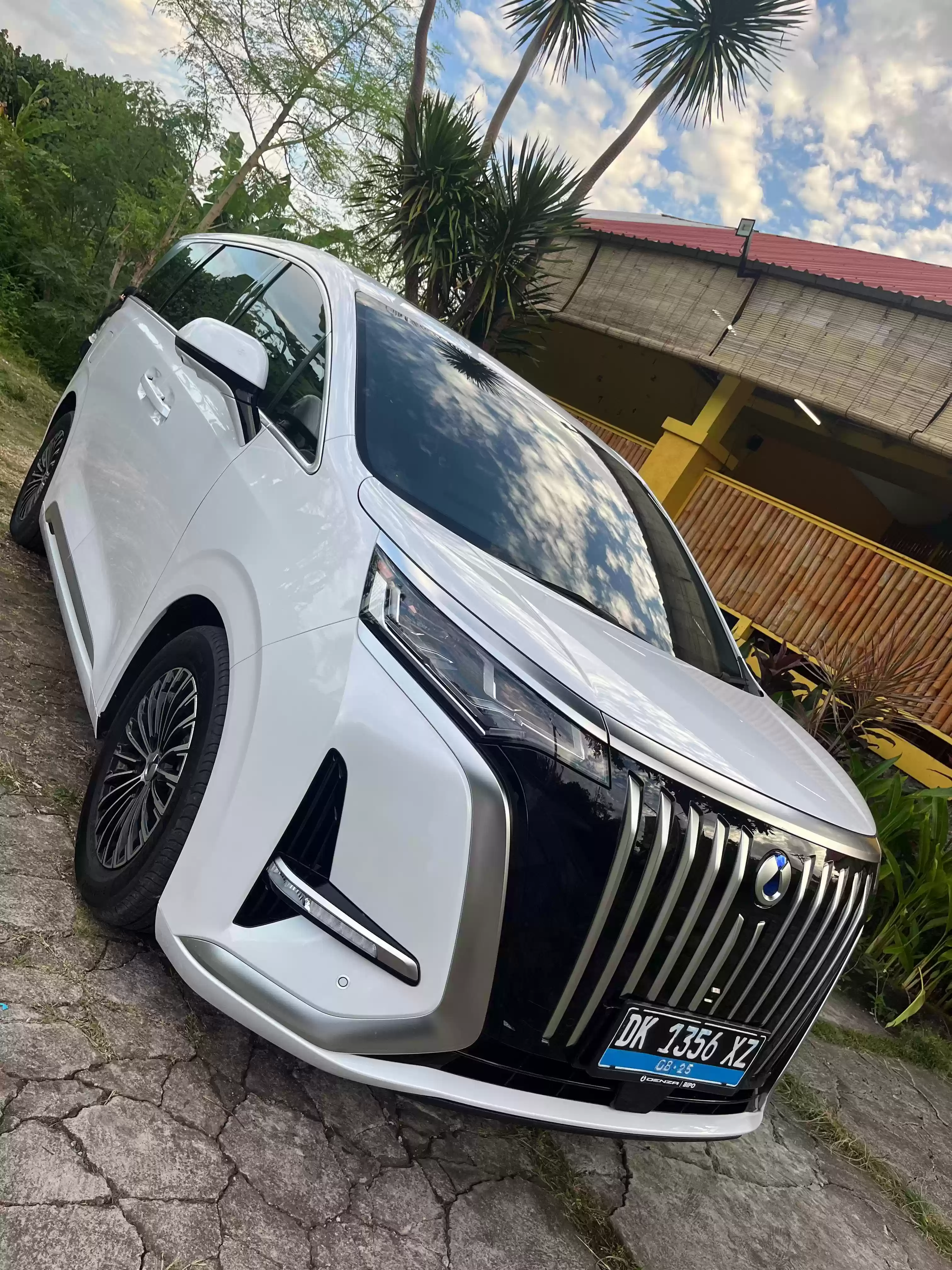 BYD Denza D9