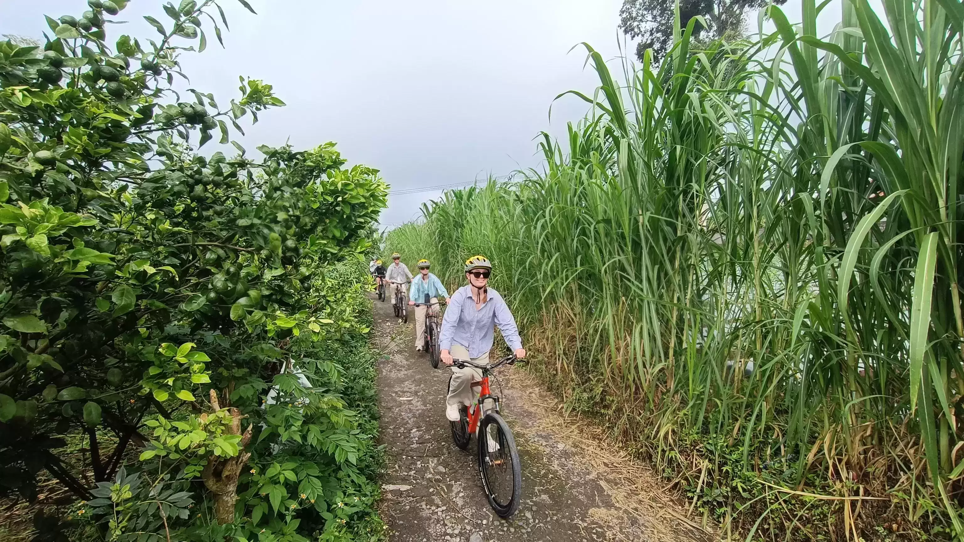 Bali Cycling Tours