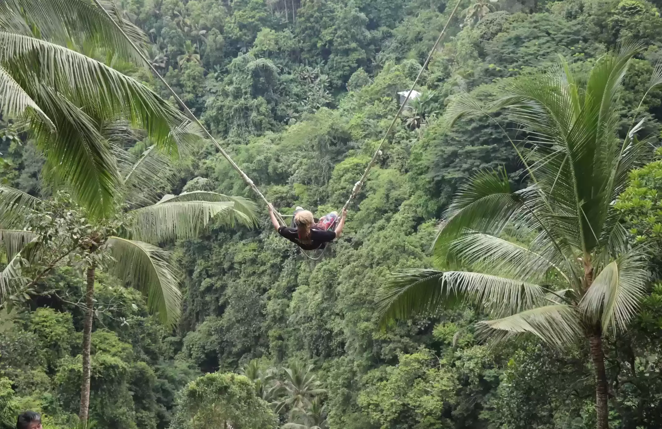 Bali Swing Tours