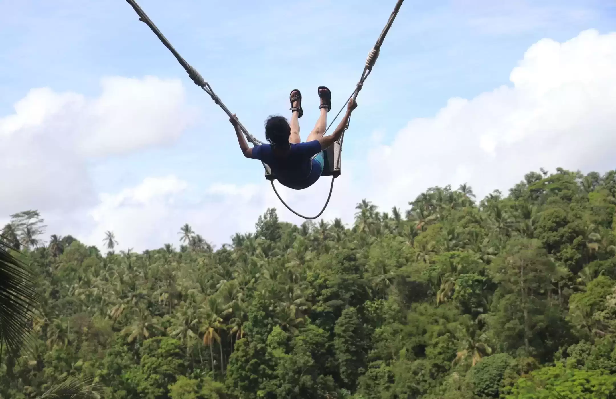 Bali Swing Tours