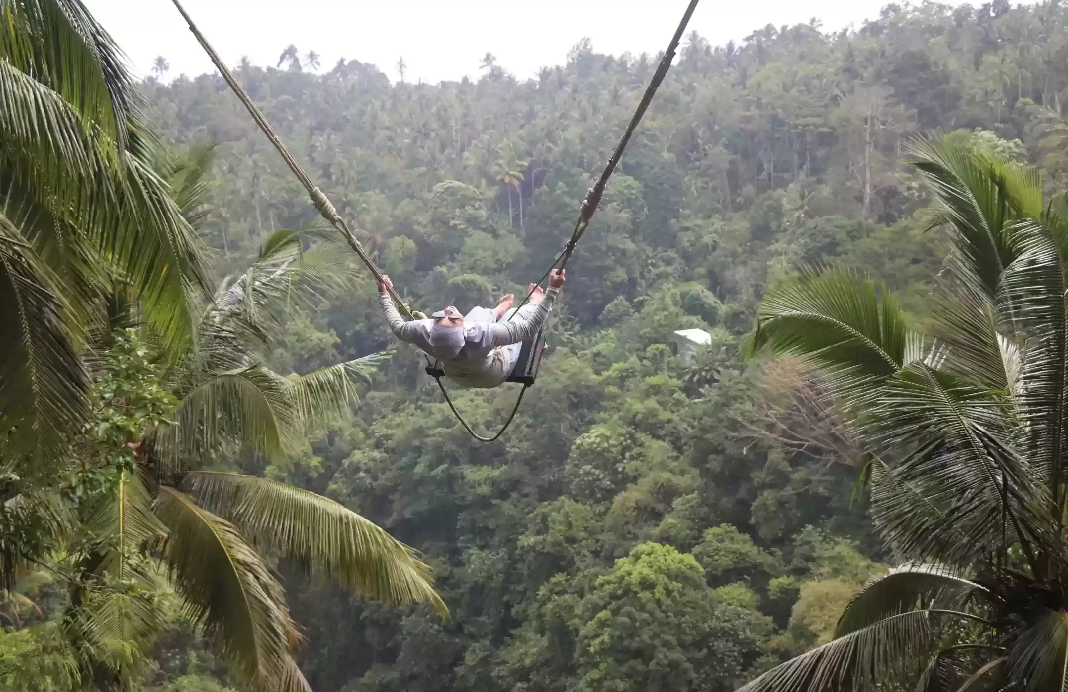 Bali Swing Tours