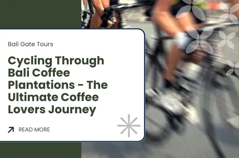 Cycling Through Bali Coffee Plantations - The Ultimate Coffee Lovers Journey