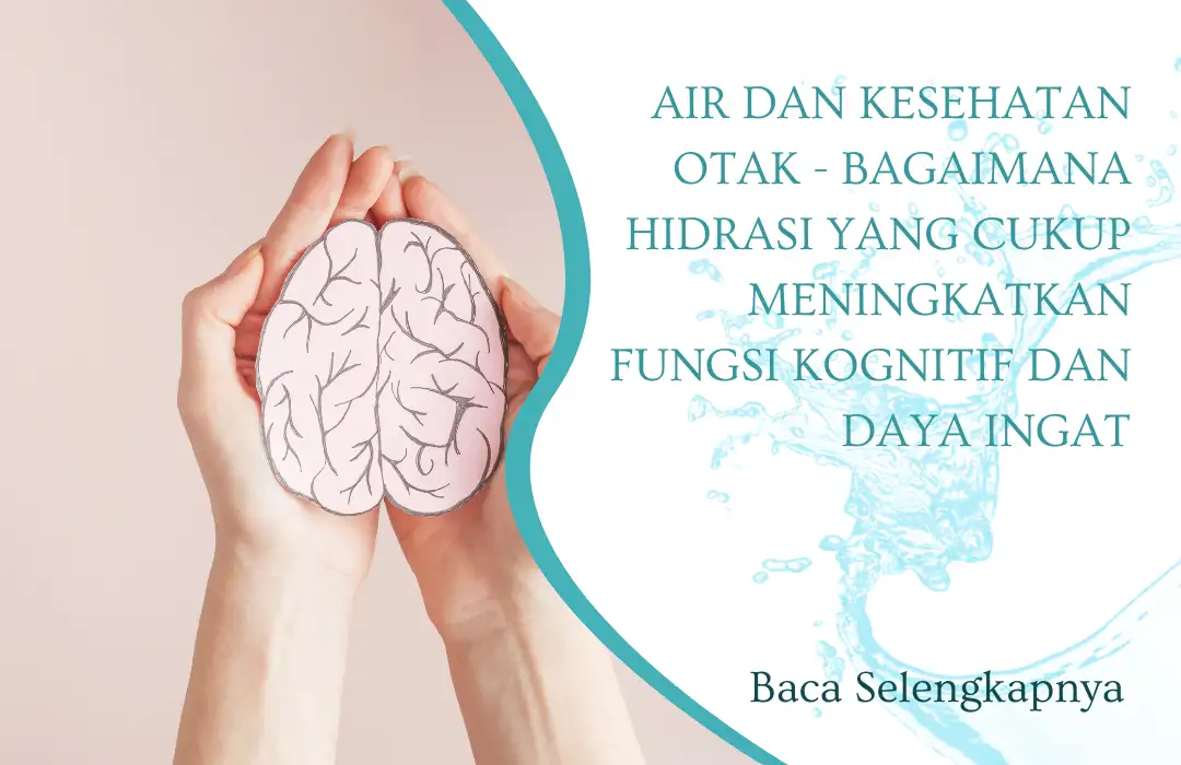 Air dan Kesehatan Otak - Bagaimana Hidrasi yang Cukup Meningkatkan Fungsi Kognitif dan Daya Ingat