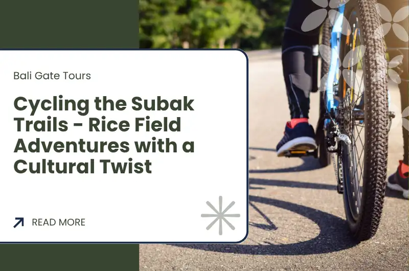 Cycling the Subak Trails - Rice Field Adventures with a Cultural Twist